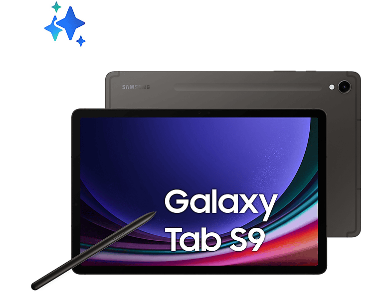 Tablet Samsung Galaxy Tab S9 8+128GB, 128 GB, 11 ”, Graphite
