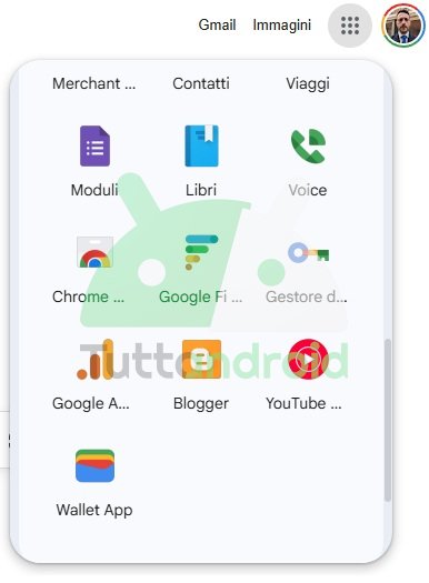 Google - Web app with Google Wallet App