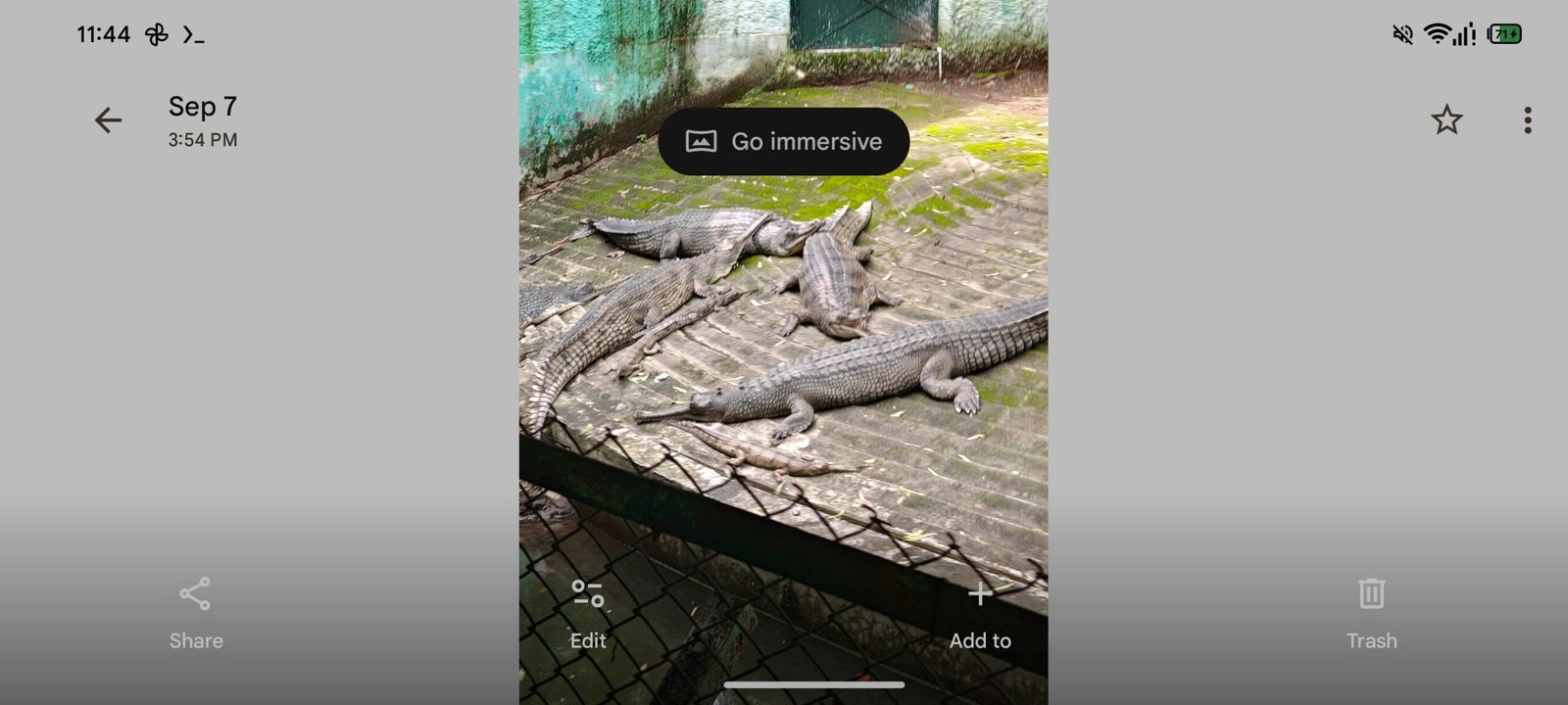 Google Photos v7.50 - Spatial tab