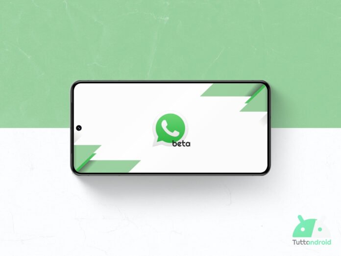WhatsApp Beta Logo