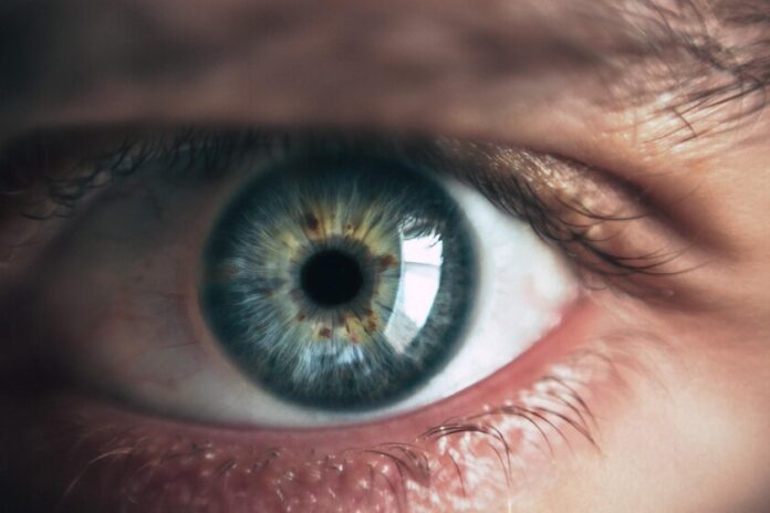 What a study that has brought life back to the eyes tells us about death
