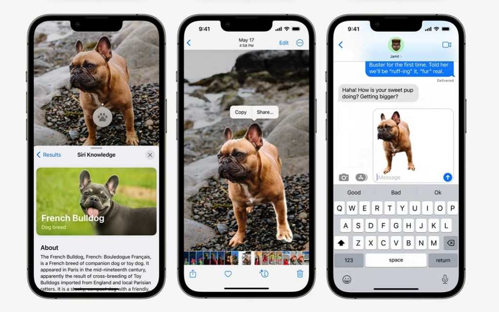 iPhone: iOS 16 allows you to remove the background from an image, here's  how to do it - How smart Technology changing lives