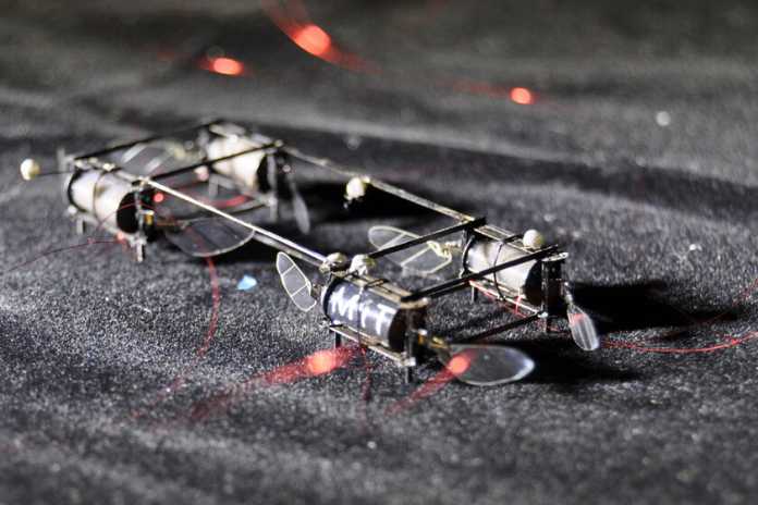Technology Just Created Something You Didn't Even Know You Needed: Tiny Firefly Robots
