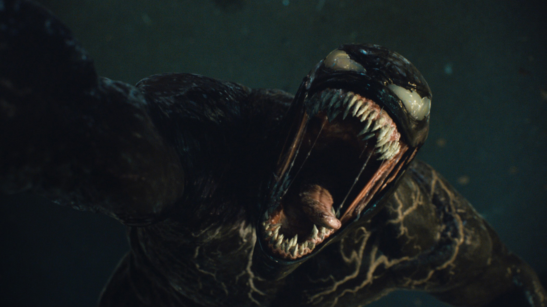 "Venom" stars Tom Hardy and is written by Scott Rosenberg, Jeff Pinkner and Kelly Marcel.  (Sony Pictures)