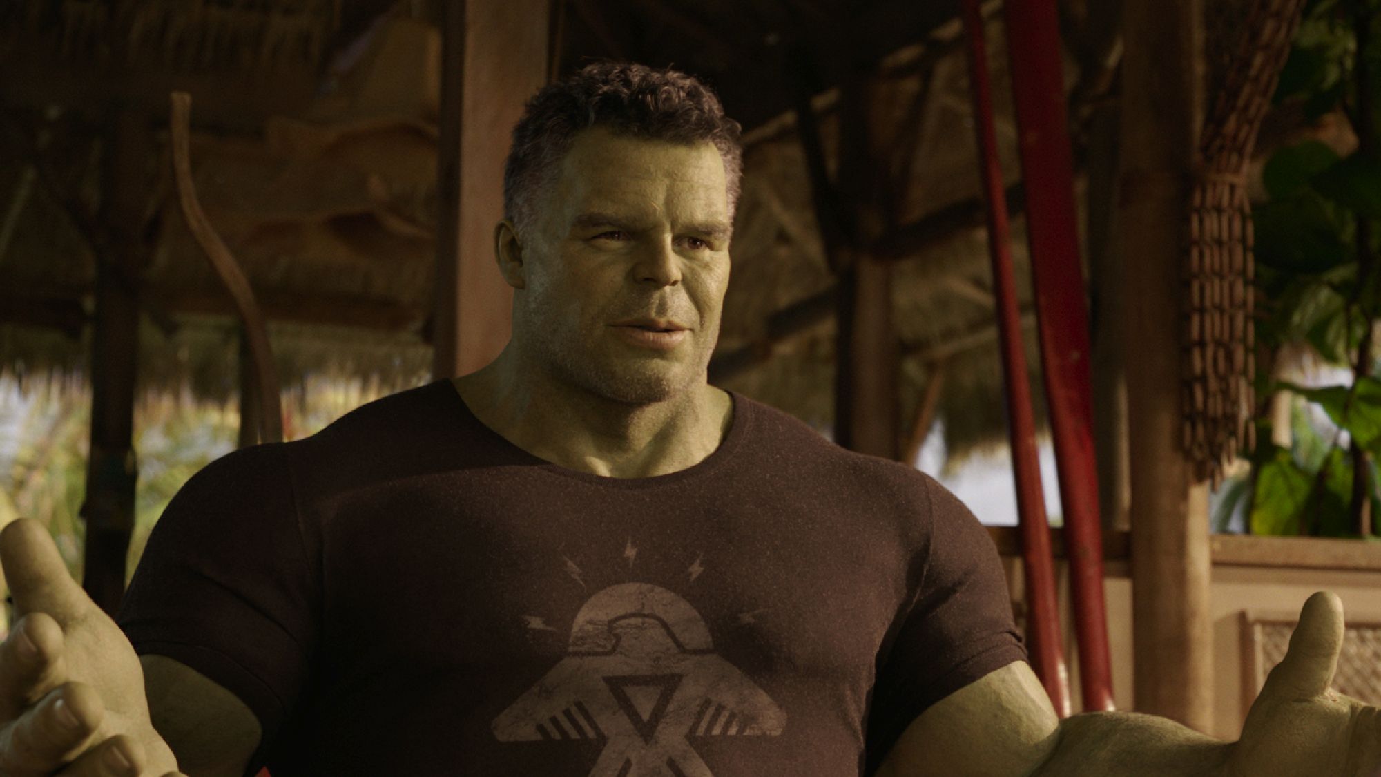 Mark Ruffalo returns to the Marvel Cinematic Universe to be his cousin's guide in matters relating to the Hulk.  (DisneyPlus)