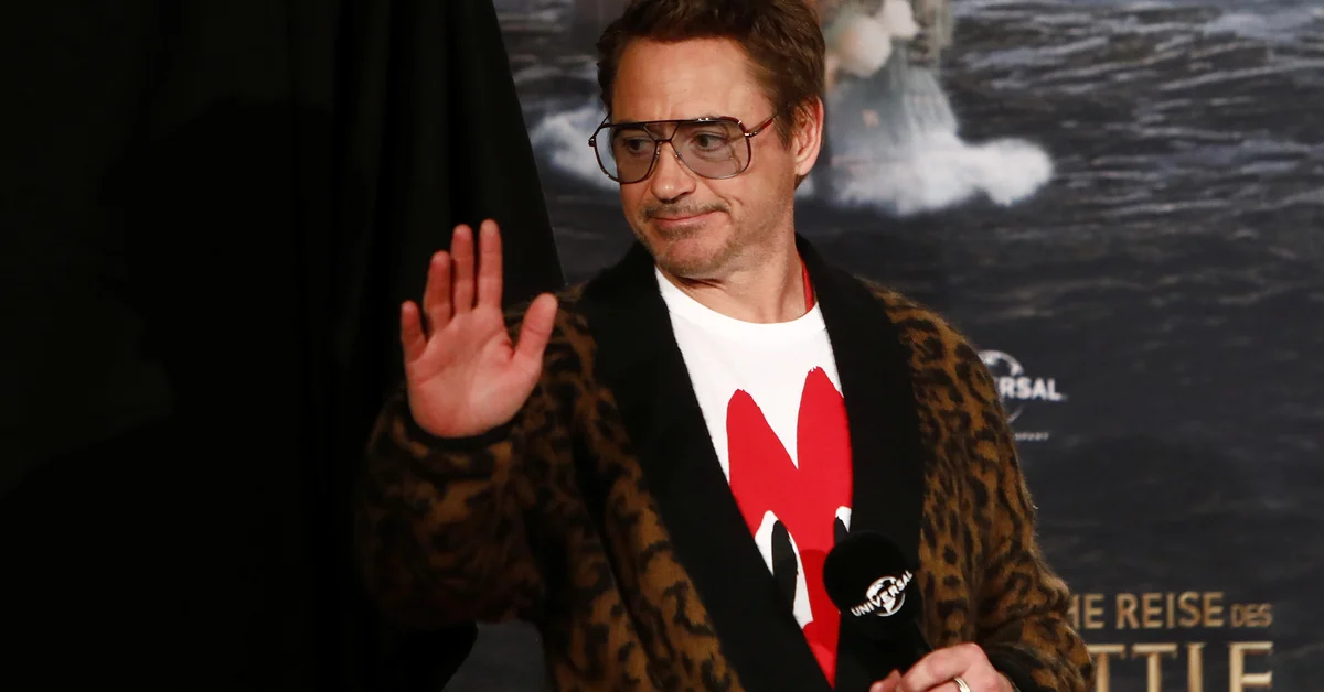 Robert Downey Jr. returns with a key character in his acting career
