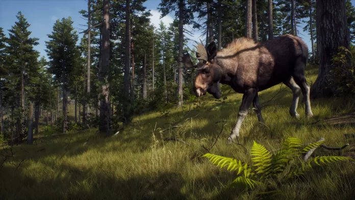 Way Of The Hunter Review: Back to hunting in the green prairies
