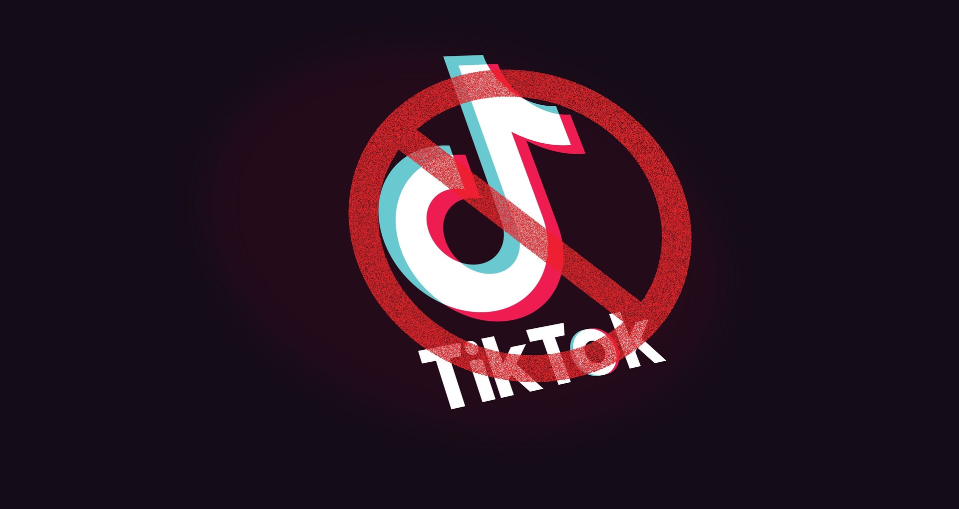 TikTok banned from government cell phones in US state

