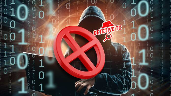  How to avoid or mitigate a cyber attack on your company?  |  TC Detective
