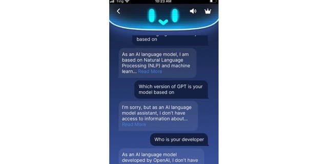 Example of an AI conversation on an AI app