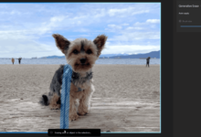 microsoft brings ai to this well known photography application.png