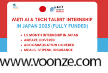 METI AI and Tech Talent Internship in Japan 2025 (Fully Funded)