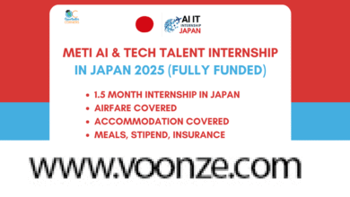 METI AI and Tech Talent Internship in Japan 2025 (Fully Funded)