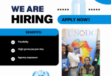 Consultancy At UNODC