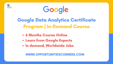 Google Data Analytics Certificate 2025 | In-Demand Course