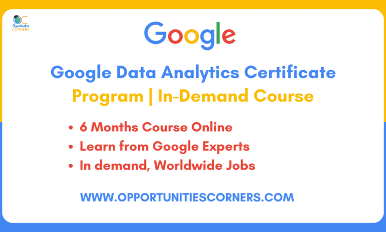 Google Data Analytics Certificate 2025 | In-Demand Course
